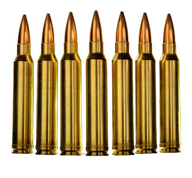 300 Win Mag 220 GR SMK Mk 248 Mod 1