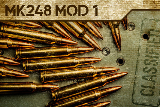 300 Win Mag 220 GR SMK Mk 248 Mod 1