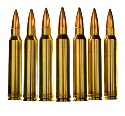 300 Win Mag 220 GR SMK Mk 248 Mod 1